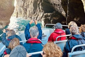 Faial Island: Unique boat tour to the Capelinhos volcano