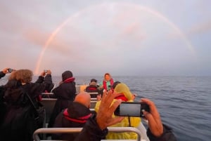 Faial Island: Unique boat tour to the Capelinhos volcano