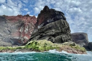 Faial Island: Unique boat tour to the Capelinhos volcano