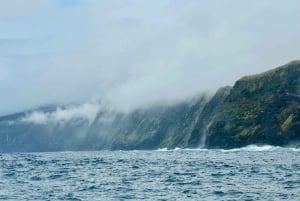 Faial Island: Unique boat tour to the Capelinhos volcano