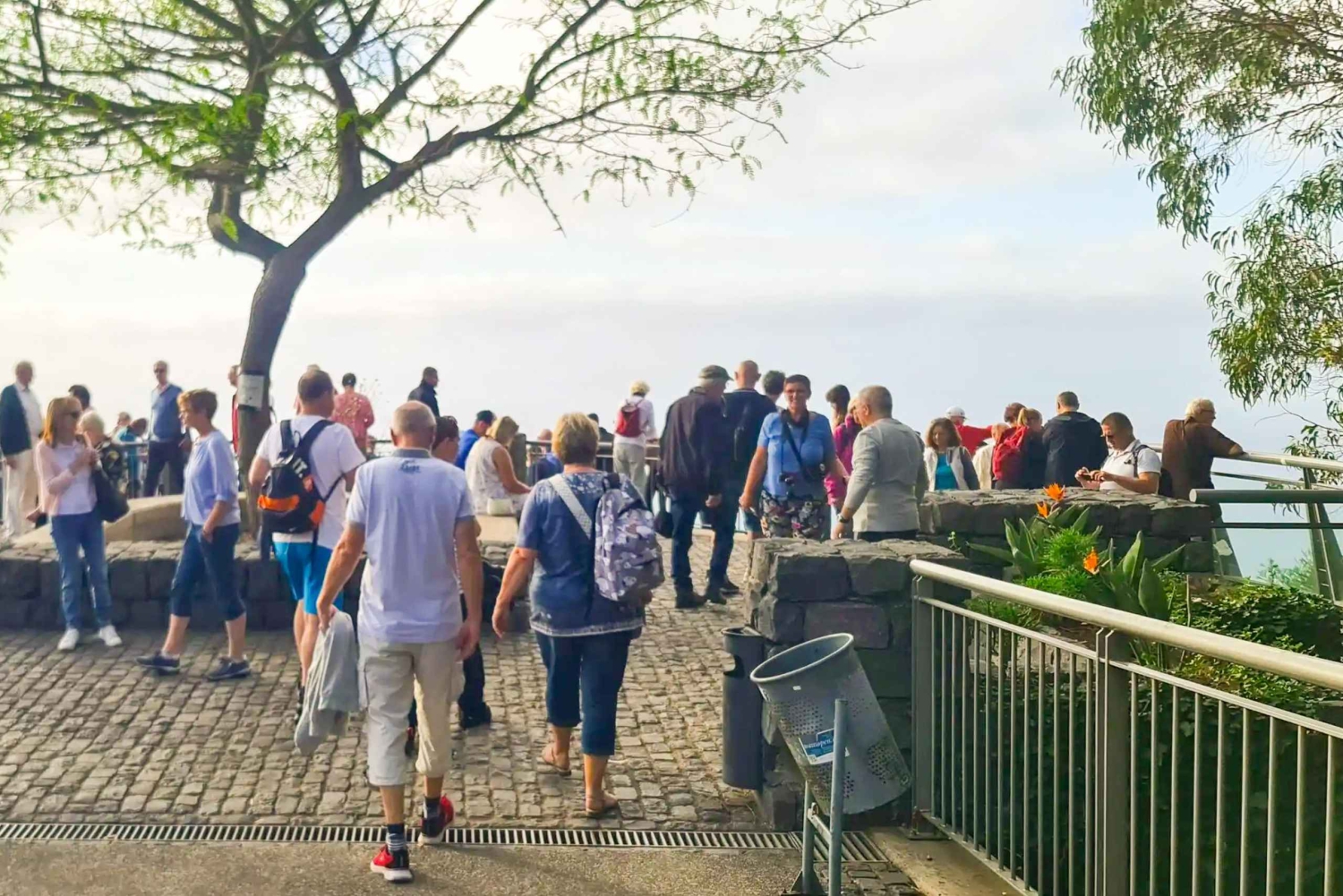 Visite familiale de l'île de Madère