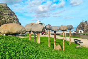 Visite familiale de l'île de Madère