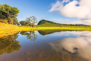 Visite familiale de l'île de Madère