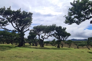 Visite familiale de l'île de Madère