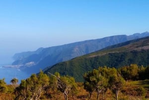 Fanal / Assobiadores - Levada Walk