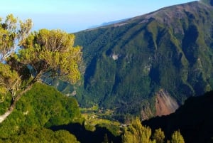 Fanal / Assobiadores - Levada Walk