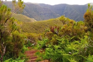 Fanal / Assobiadores - Levada Walk