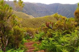 Fanal / Assobiadores - Levada Walk