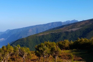 Fanal / Assobiadores - Levada Walk