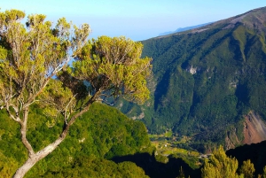 Fanal / Assobiadores - Levada Walk