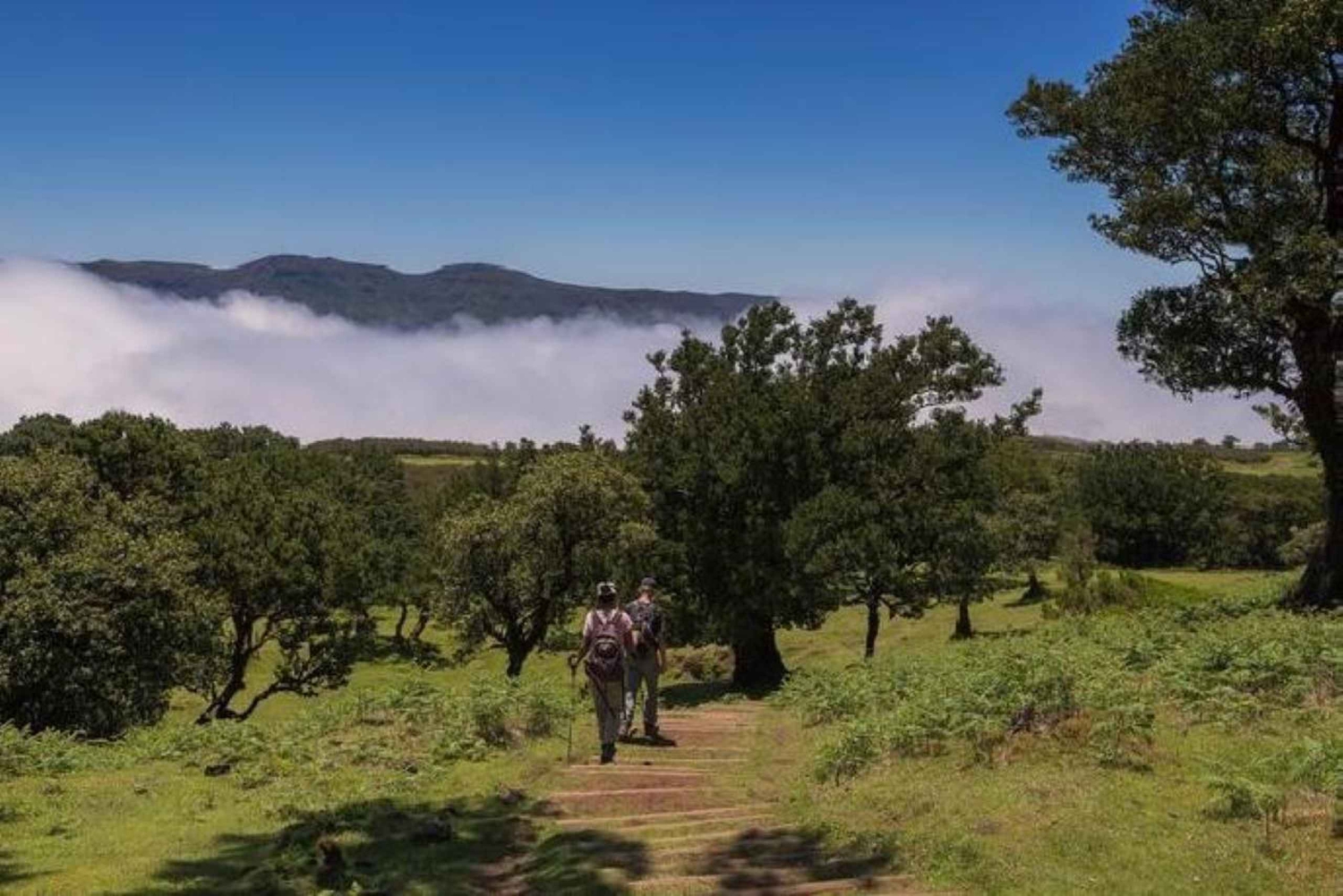 Fanal Assobiadores Trail