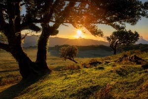 Fanal Assobiadores Trail