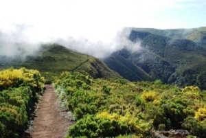 Fanal Assobiadores Trail