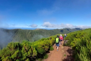 Waldspaziergang & Mahlzeit in Fanal