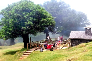 Waldspaziergang & Mahlzeit in Fanal