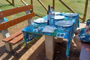 Waldspaziergang & Mahlzeit in Fanal