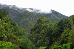 Queimadas Caldeirão Verde Wycieczka piesza z przewodnikiem