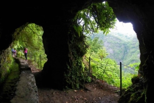 Queimadas Caldeirão Verde Wycieczka piesza z przewodnikiem