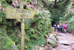 Queimadas Caldeirão Verde Wycieczka piesza z przewodnikiem
