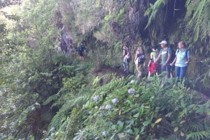 Queimadas Caldeirão Verde Wycieczka piesza z przewodnikiem
