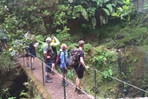 Queimadas Caldeirão Verde Wycieczka piesza z przewodnikiem