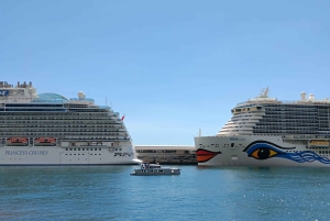 From Funchal: 10-Hour Luxury Tour to Desertas Islands