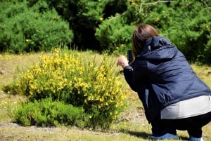 From Funchal: 2-Day Guided Tour of Madeira