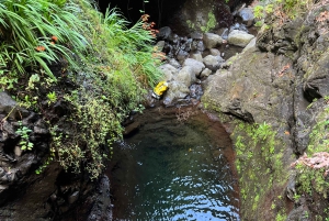 From Funchal: Advanced Canyoning Experience in Madeira