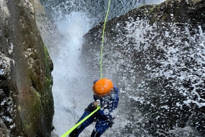 From Funchal: Advanced Canyoning Experience in Madeira