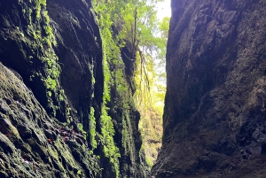 From Funchal: Advanced Canyoning Experience in Madeira