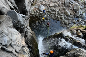 From Funchal: Advanced Canyoning Experience in Madeira