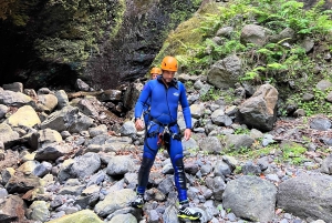 From Funchal: Advanced Canyoning Experience in Madeira