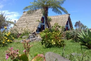 East Tour - A-Framed Houses with Walk in Laurissilva Forest