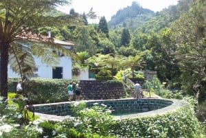 East Tour - A-Framed Houses with Walk in Laurissilva Forest