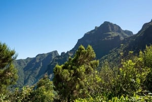 From Funchal: Best of Madeira's West Tour