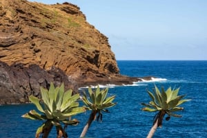 From Funchal: Best of Madeira's West Tour