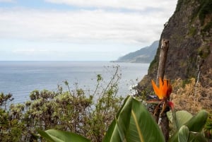 From Funchal: Best of Madeira's West Tour