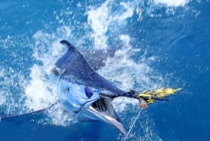 From Funchal : Big Game Fishing boat trip