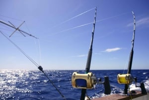 From Funchal : Big Game Fishing boat trip