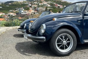 From Funchal: Cabo Girão & Poncha Tasting by Classic VW