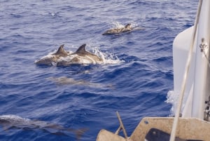 From Funchal: Cabo Girao Sunset Cruise on Luxury Catamaran