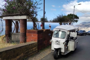 Cristo Rei Guided TukTuk Tour (From Funchal)