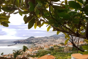 Cristo Rei Guided TukTuk Tour (From Funchal)