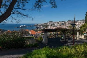 Cristo Rei Guided TukTuk Tour (From Funchal)