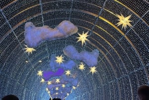 Depuis Funchal : Crèche et illuminations de Noël de Curral das Freiras