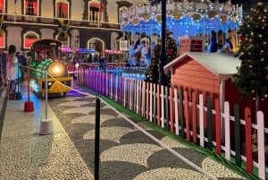 Depuis Funchal : Crèche et illuminations de Noël de Curral das Freiras
