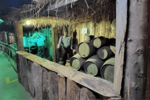 Depuis Funchal : Crèche et illuminations de Noël de Curral das Freiras