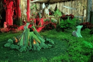 Depuis Funchal : Crèche et illuminations de Noël de Curral das Freiras