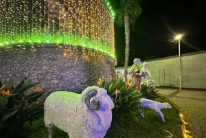 Depuis Funchal : Crèche et illuminations de Noël de Curral das Freiras