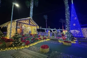 Depuis Funchal : Crèche et illuminations de Noël de Curral das Freiras